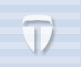 Logo for Triton Imaging, Inc.