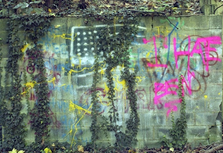FPO image